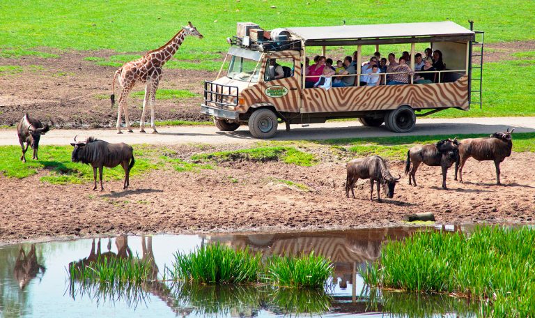 Serengeti-Park Hodenhagen – Safari-Abenteuer und Freizeitspaß für die ganze Familie – weiteres Foto