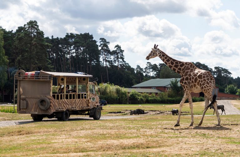 Serengeti-Park Hodenhagen – Safari-Abenteuer und Freizeitspaß für die ganze Familie